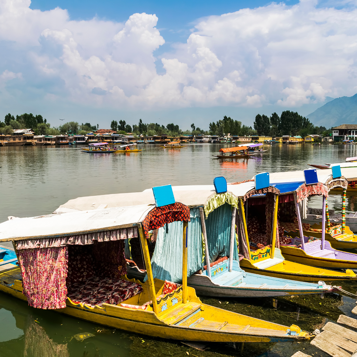 Srinagar (Jammu & Kashmir) 