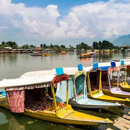 Srinagar (Jammu & Kashmir) 