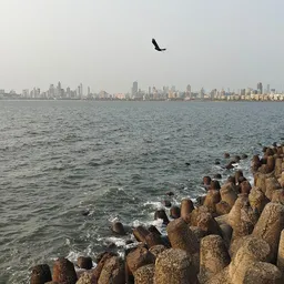 Mumbai (Maharashtra) 