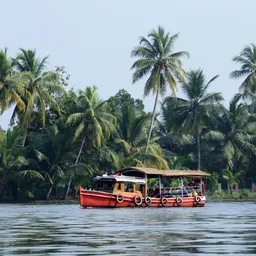Kochi (Kerala)