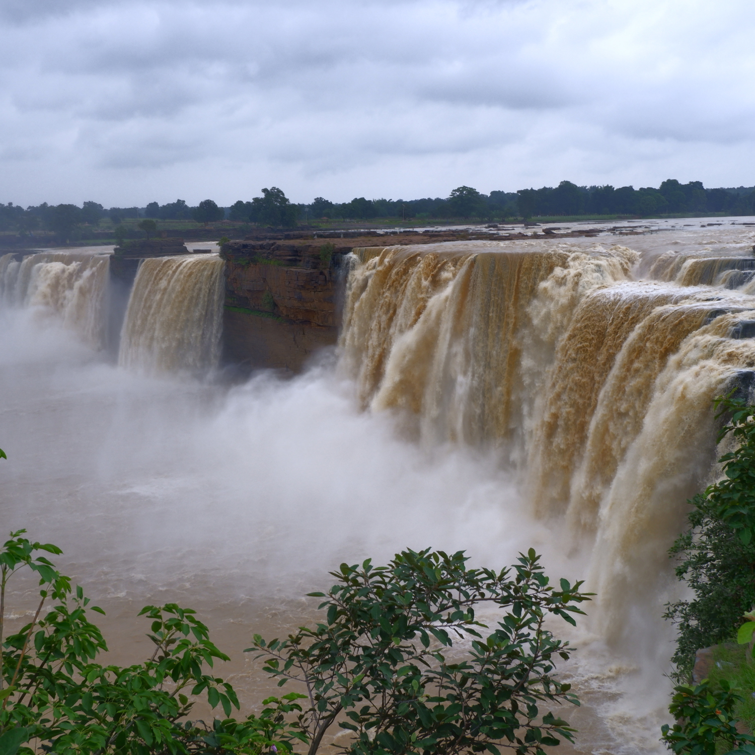 Raipur (Chhattisgarh) 