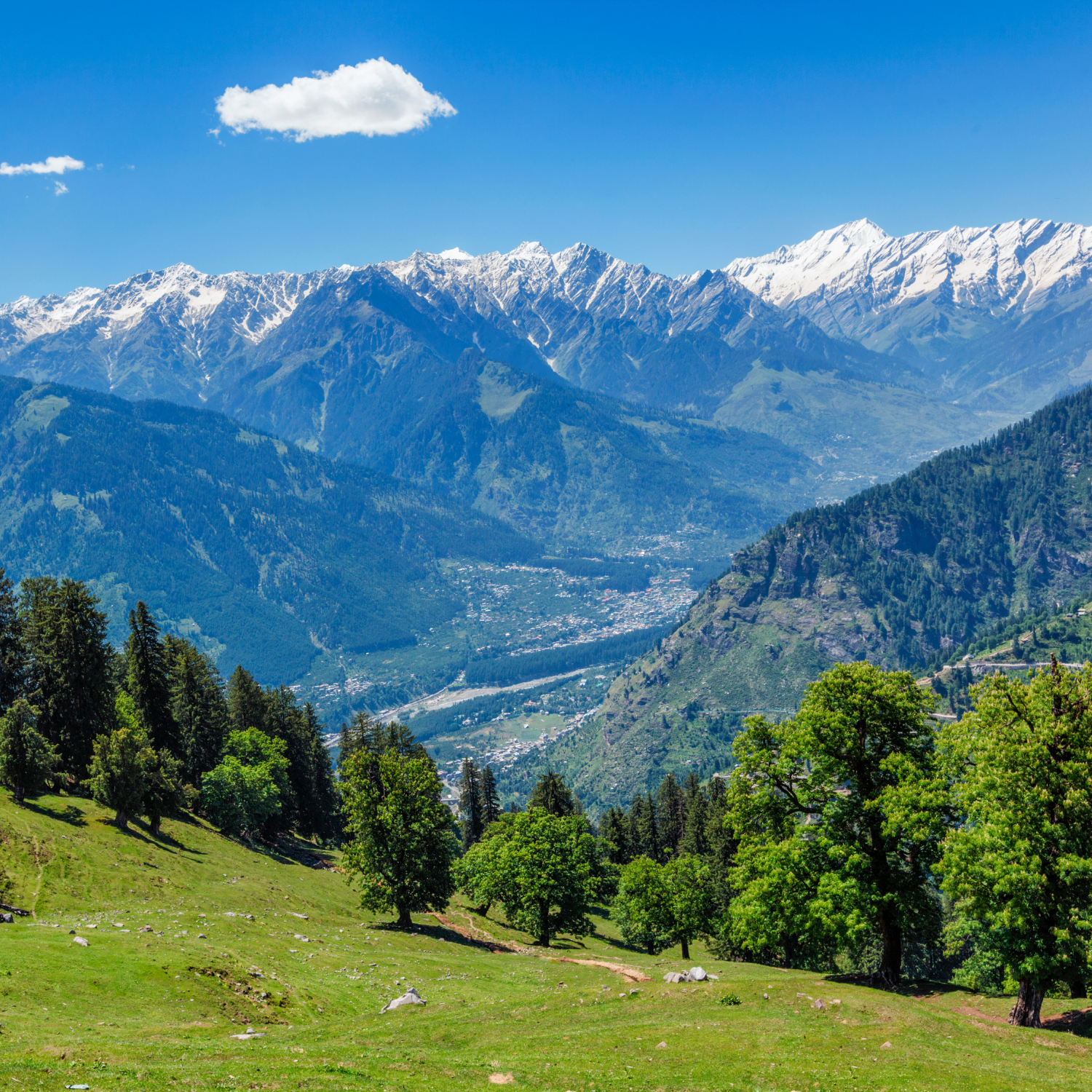 Great Himalayan National Park – Himachal Pradesh
