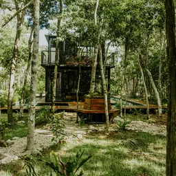 Binsar Wildlife Sanctuary – Uttarakhand