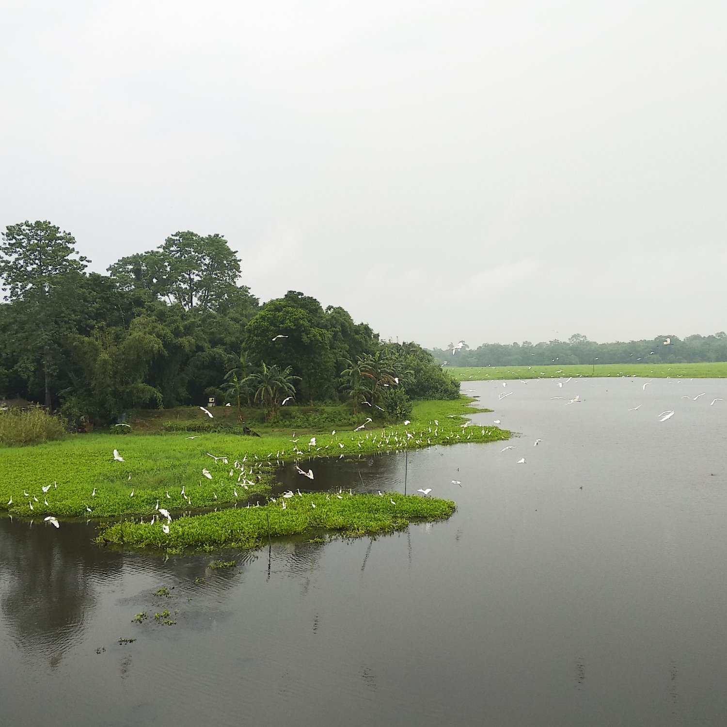 Majuli River Island – Assam