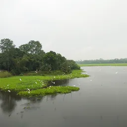 Majuli River Island – Assam