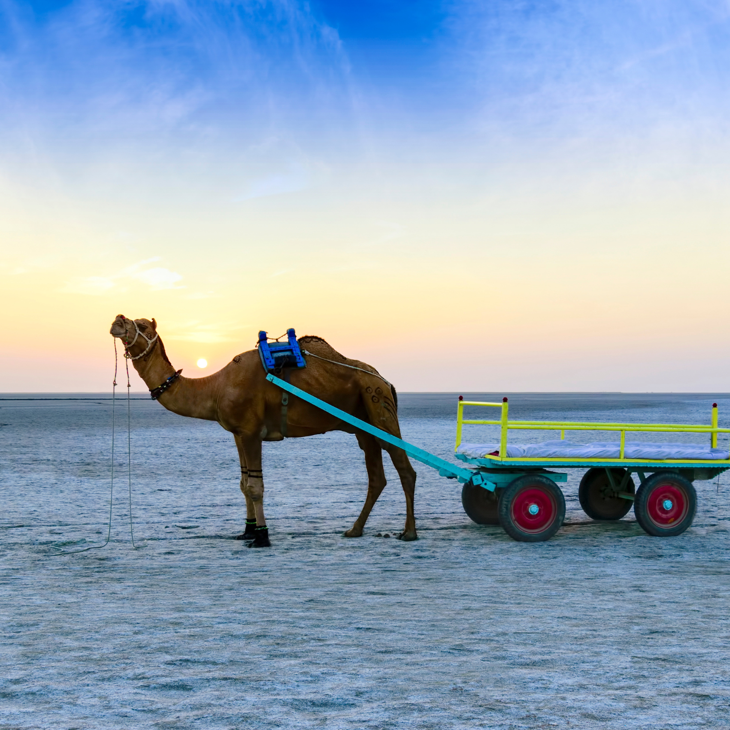 Dholavira – Gujarat