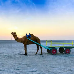 Dholavira – Gujarat