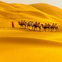 Jaisalmer Desert (Khuri / Sam Dunes) – Rajasthan