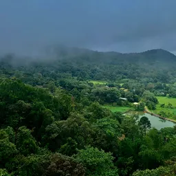 Coorg – Karnataka