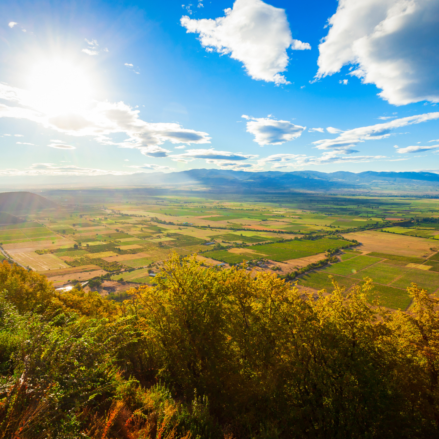 Kakheti, Telavi, Signagi