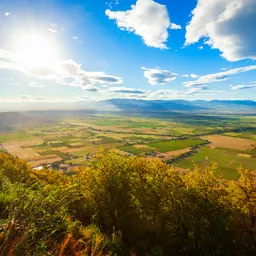 Kakheti, Telavi, Signagi