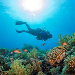 Coron Wreck Diving Experience (Half/Full Day)