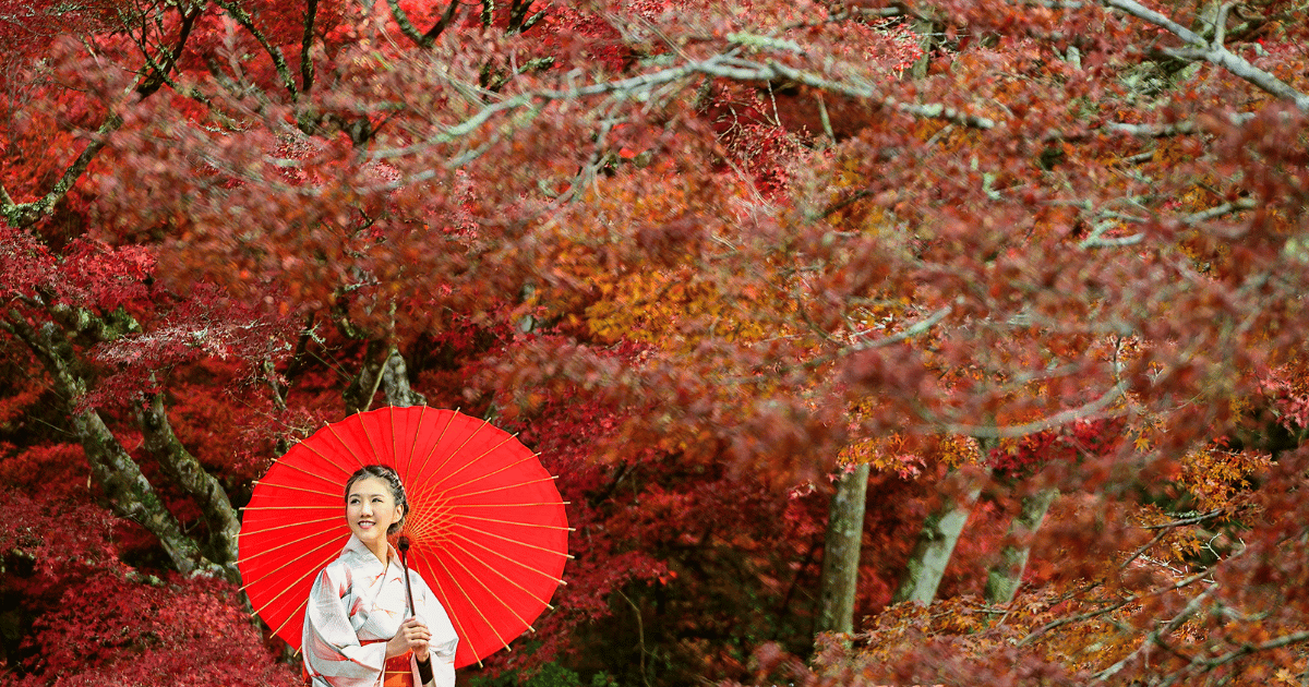 13 Days Japan Tour Package – Tokyo Disneyland, Hakone, Kyoto & Osaka